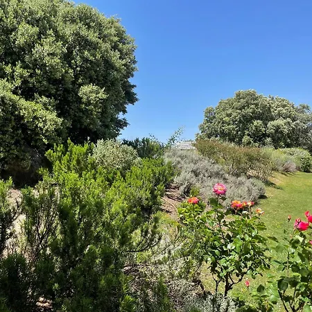 El Encinar De Gabino Hébergement de vacances Zarzuela del Monte