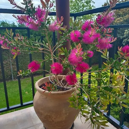 El Encinar De Gabino Holiday home