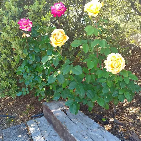 El Encinar De Gabino Zarzuela del Monte