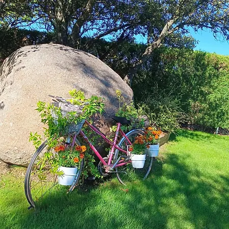 El Encinar De Gabino * Zarzuela del Monte