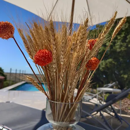 El Encinar De Gabino * Zarzuela del Monte