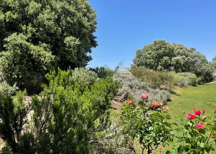 El Encinar De Gabino Holiday home Zarzuela del Monte