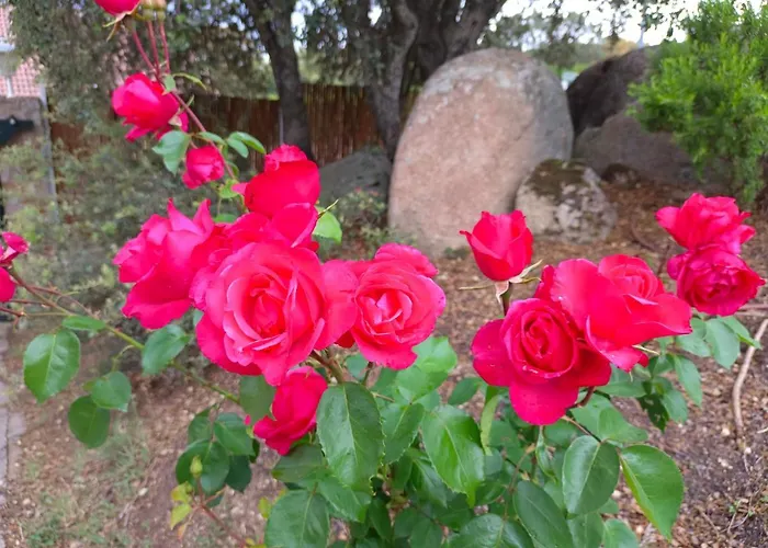 Feriehus El Encinar De Gabino