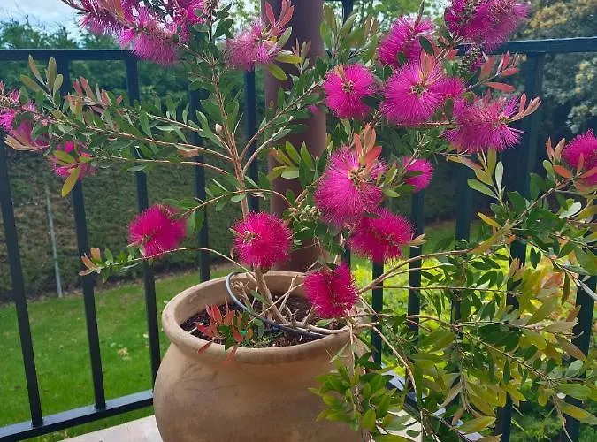 El Encinar De Gabino Holiday home