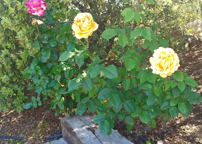 El Encinar De Gabino Zarzuela del Monte