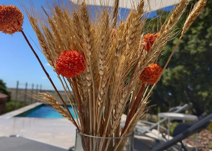 El Encinar De Gabino * Zarzuela del Monte